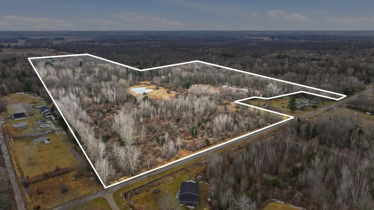 VL S Chapin Road, Elsie, MI 48831 - #1