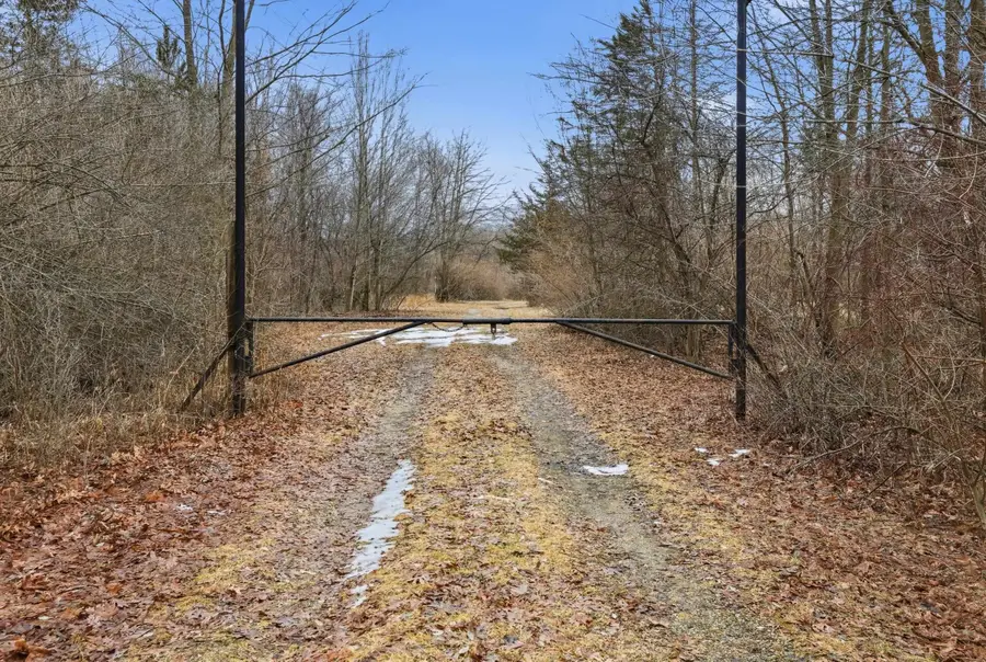 VL S Chapin Road, Elsie, MI 48831 - #2