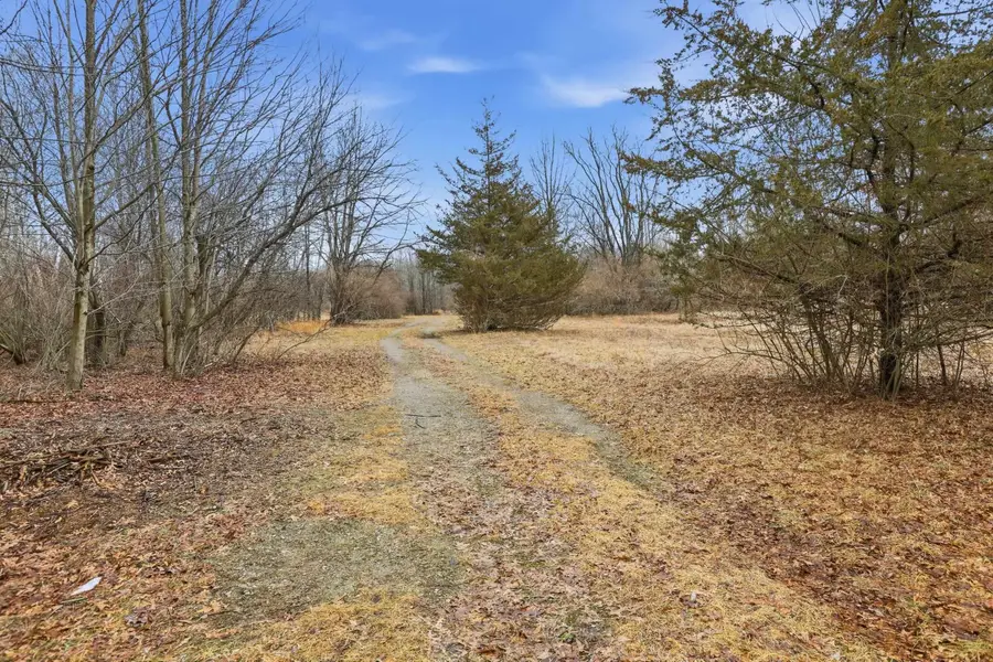 VL S Chapin Road, Elsie, MI 48831 - #3