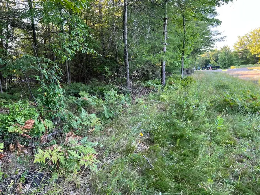 5717 Foxfire Drive, Midland, MI 48642 - #2