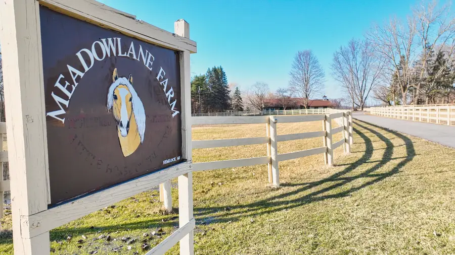 14570 Gratiot Road, Hemlock, MI 48626 - #3