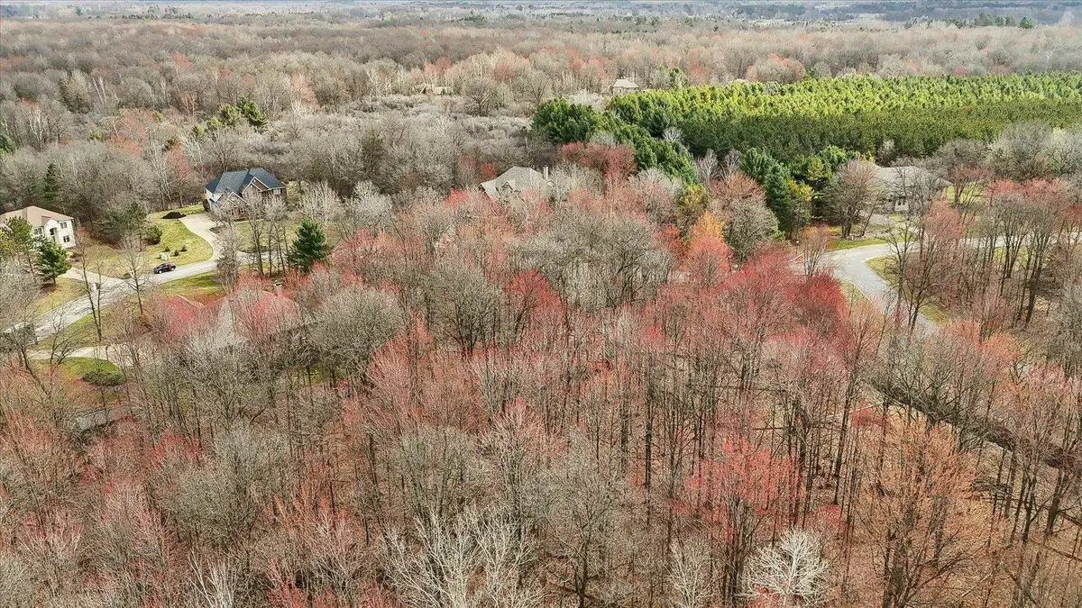 2220 Mockingbird Lane, Midland, MI 48640 - #1