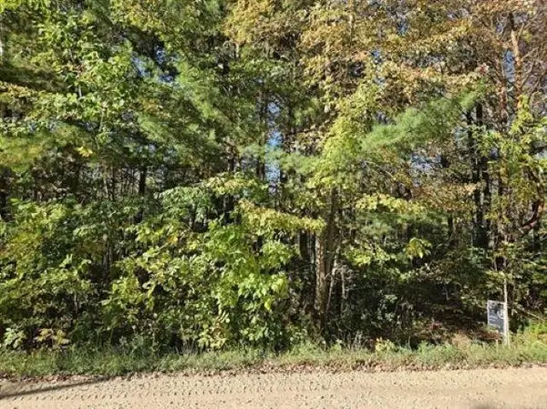 1090 Frank Street, Beaverton, MI 48612