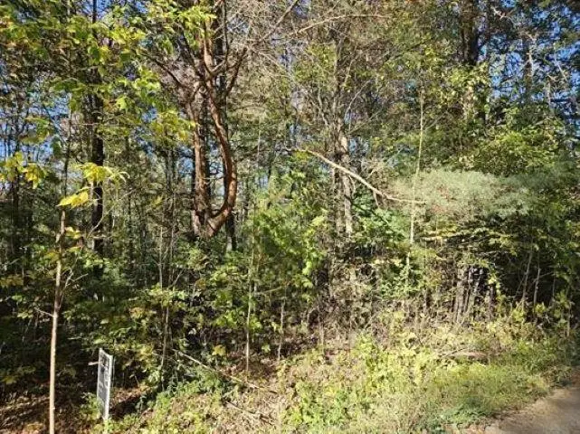 1090 Frank Street, Beaverton, MI 48612 - #2