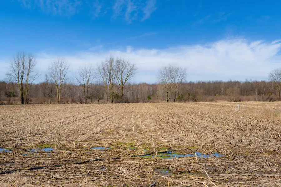 VL S Iva Road, Saint Charles, MI 48655 - #3