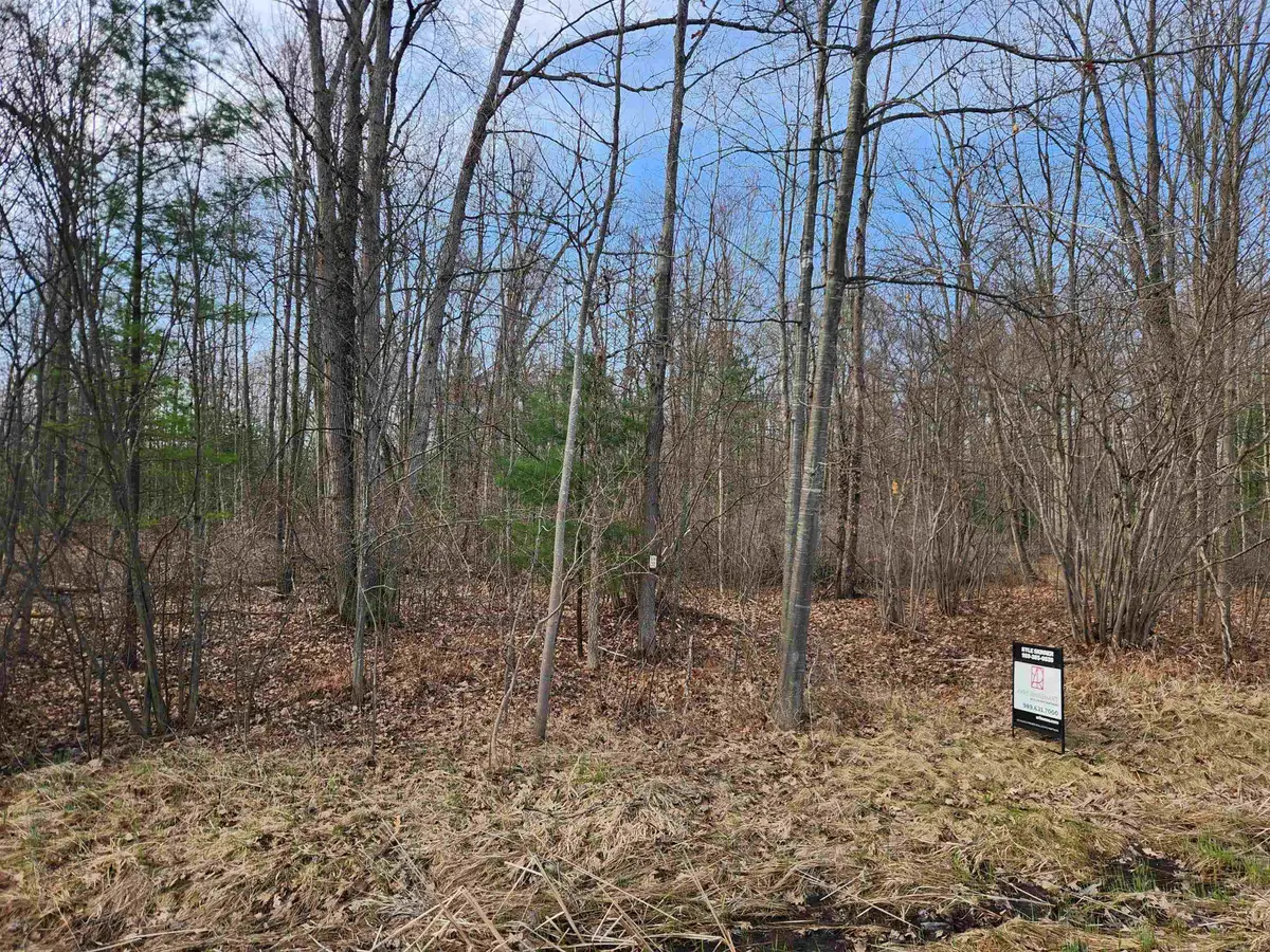 V/L W Howard Road, Beaverton, MI 48612 - #1