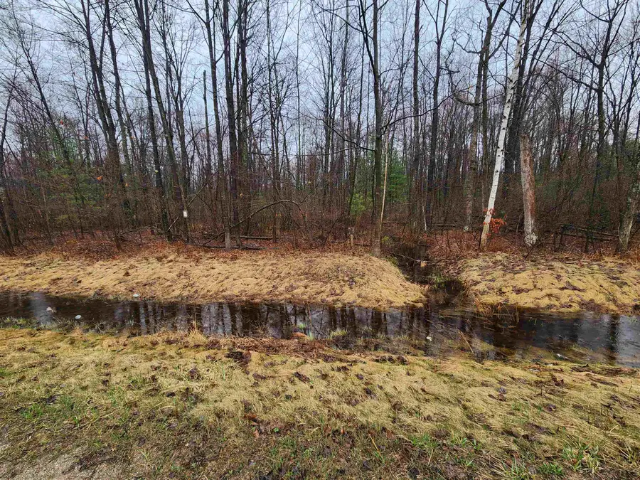 V/L W Howard Road, Beaverton, MI 48612 - #3