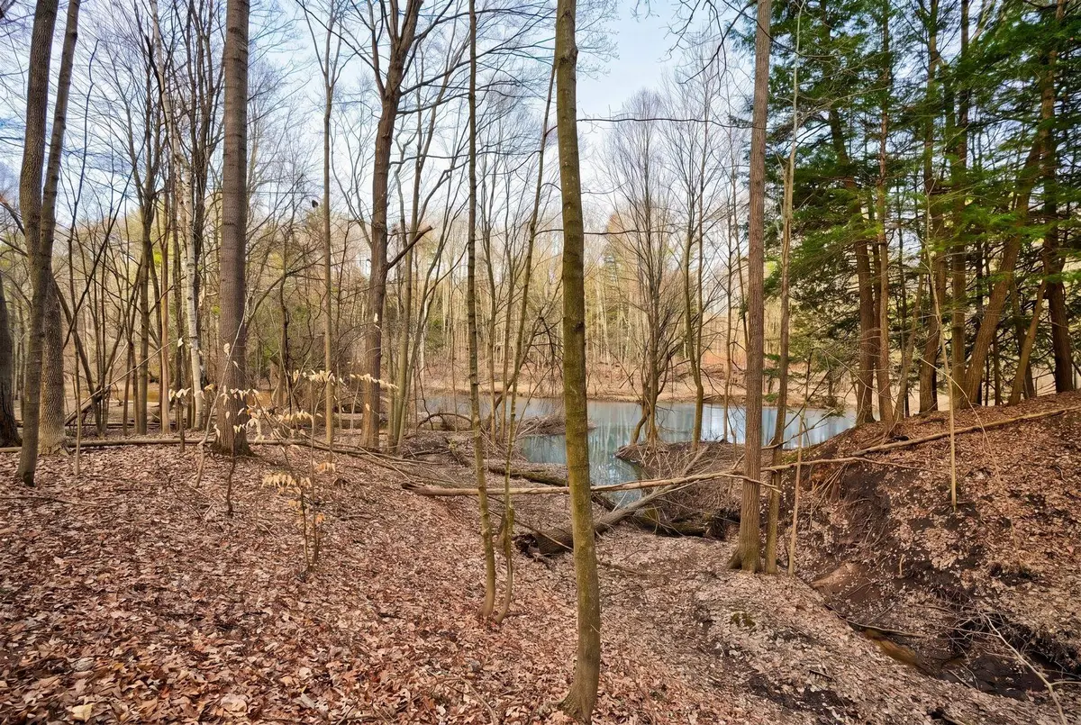 2530 N Eight Mile Road, Sanford, MI 48657 - #1