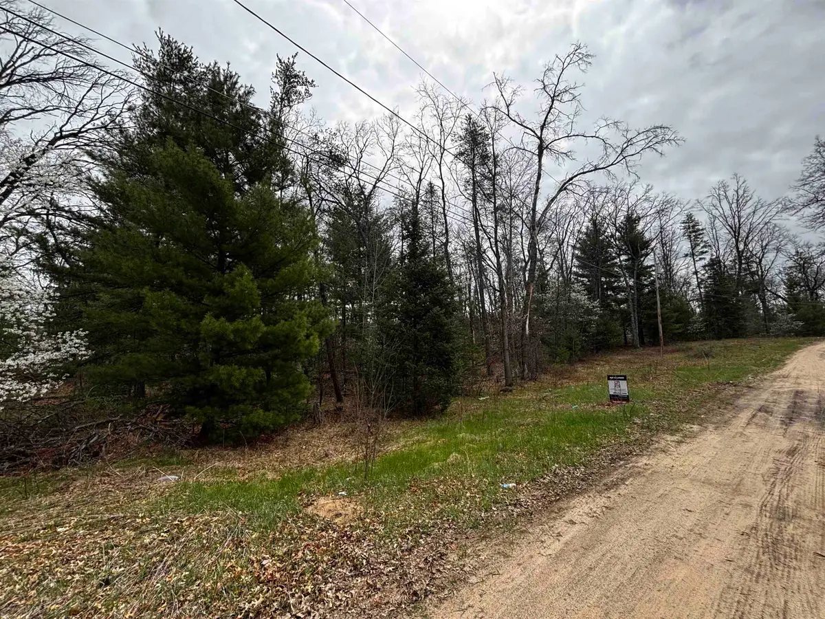 TBD Idlewild Drive, Prescott, MI 48756 - #1