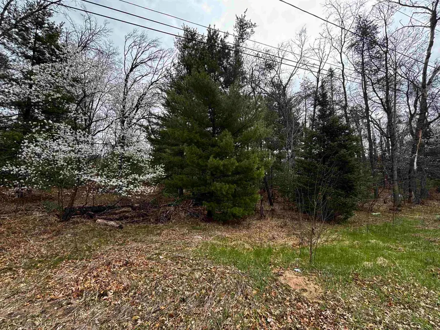 TBD Idlewild Drive, Prescott, MI 48756 - #2