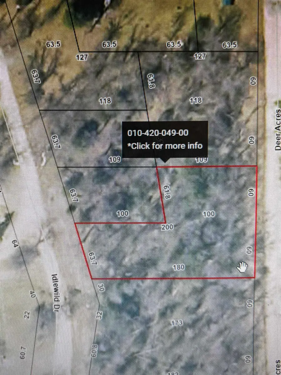 TBD Idlewild Drive, Prescott, MI 48756 - #3