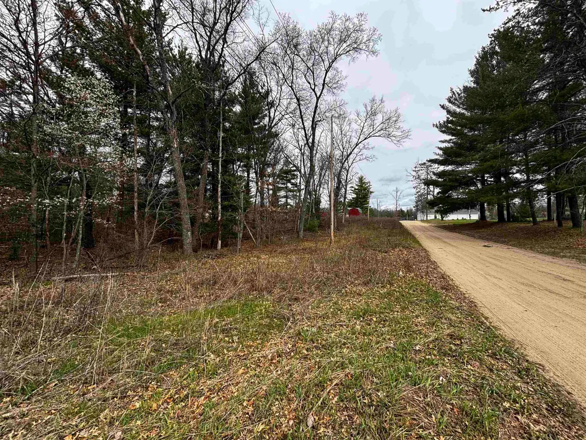 TBD Idlewild Drive, Prescott, MI 48756 - #1