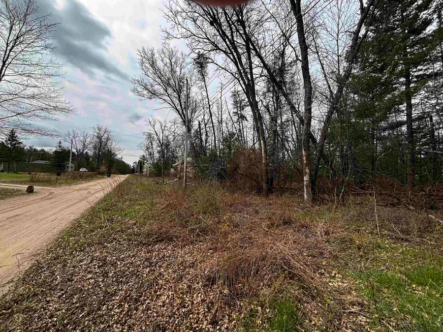 TBD Idlewild Drive, Prescott, MI 48756 - #3