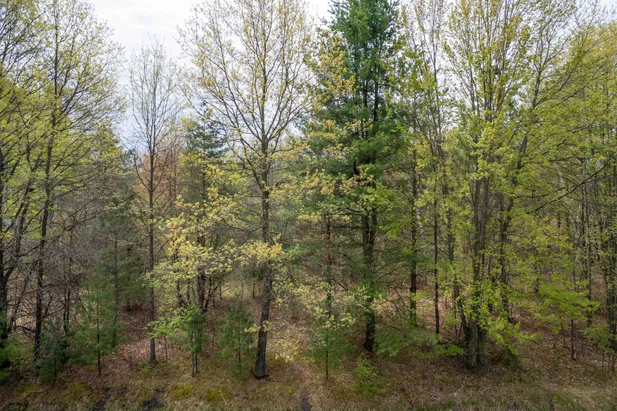 VL W Beamish Road, Coleman, MI 48618 - #1