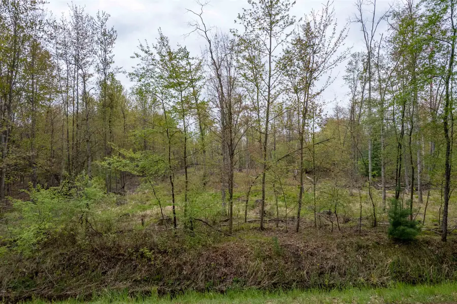 VL W Beamish Road, Coleman, MI 48618 - #2