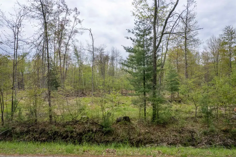 VL W Beamish Road, Coleman, MI 48618 - #3