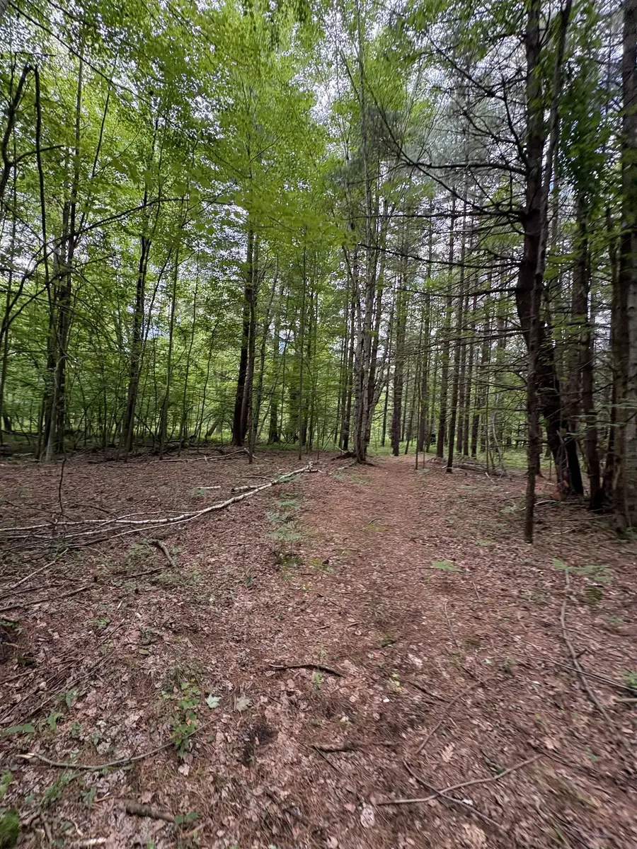 3680 Wieman Road, Beaverton, MI 48612 - #3