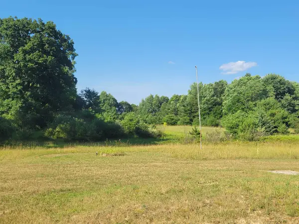 10216 Dunlop Road, Lake, MI 48632