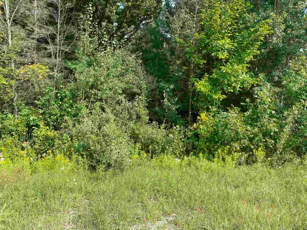 975 E M61 Road, Gladwin, MI 48624