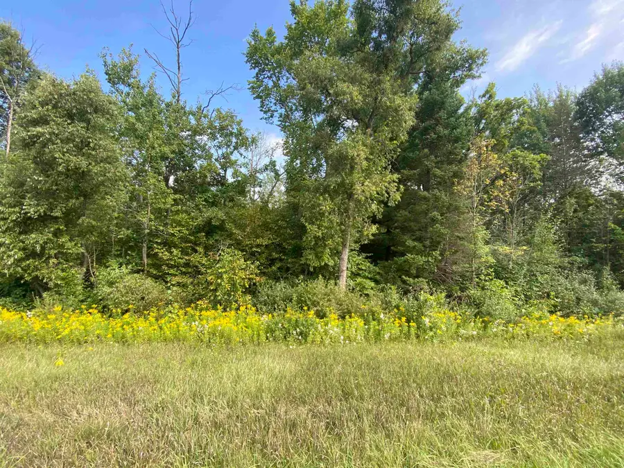 975 E M61 Road, Gladwin, MI 48624 - #3