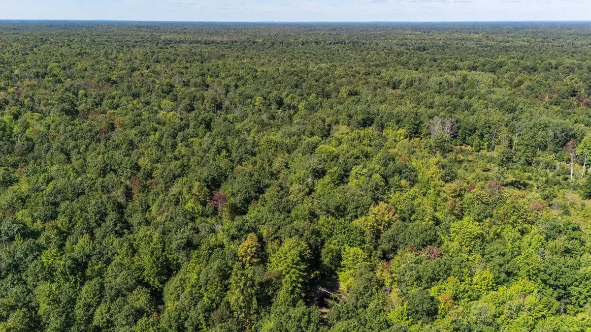 W Olson Road, Sanford, MI 48657 - #1