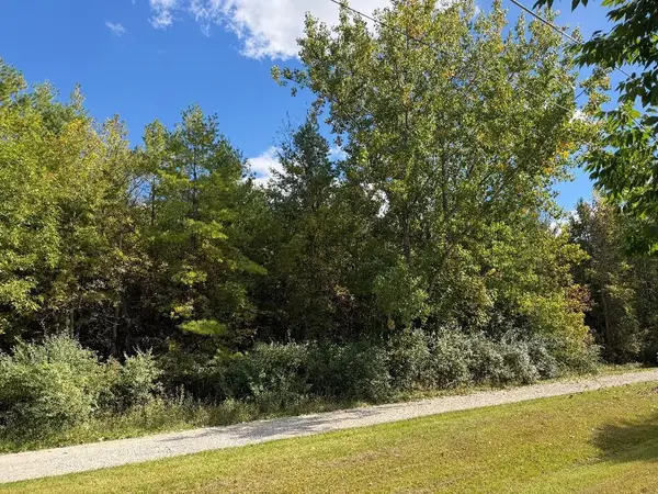 VL N Weeping Willow Road, Sanford, MI 48657