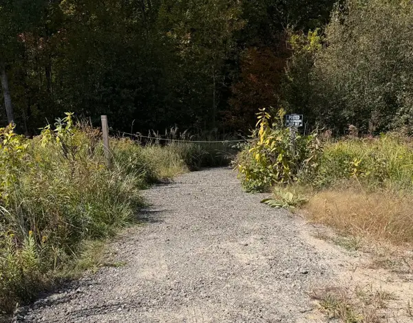 VL S Magruder Road, Saint Louis, MI 48880