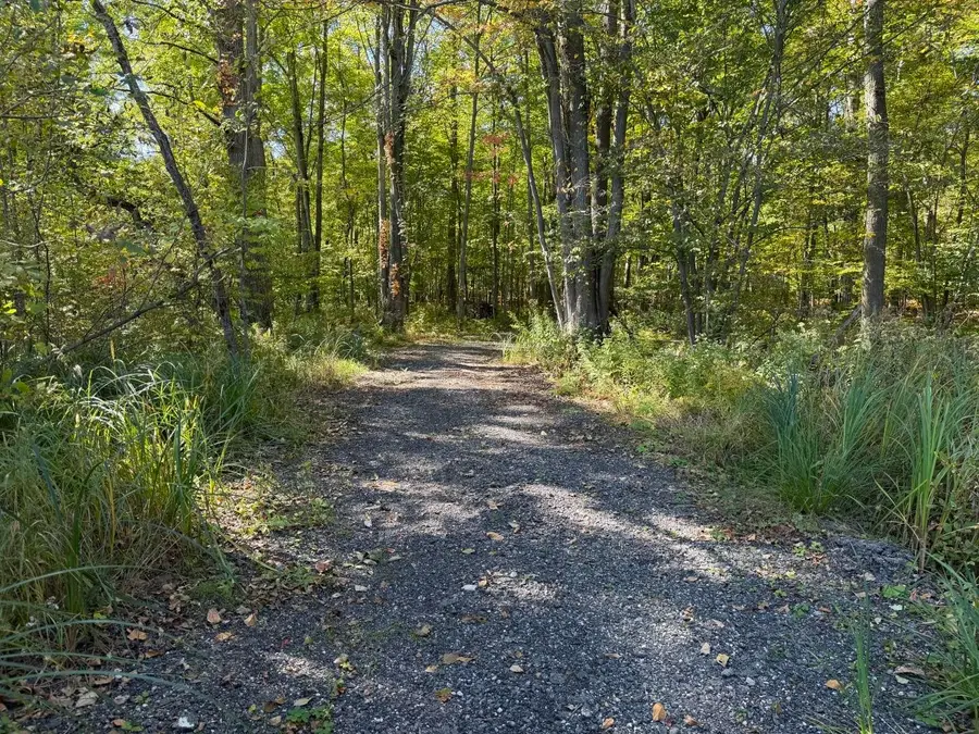 VL S Magruder Road, Saint Louis, MI 48880 - #3