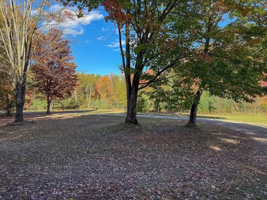 4063 W Curtis Road, Coleman, MI 48618 - #3