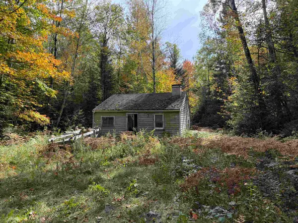 3350 Moorestown Road, Lake City, MI 49651