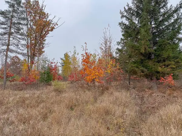 V/L Parcel D W Shearer Road, Coleman, MI 48618