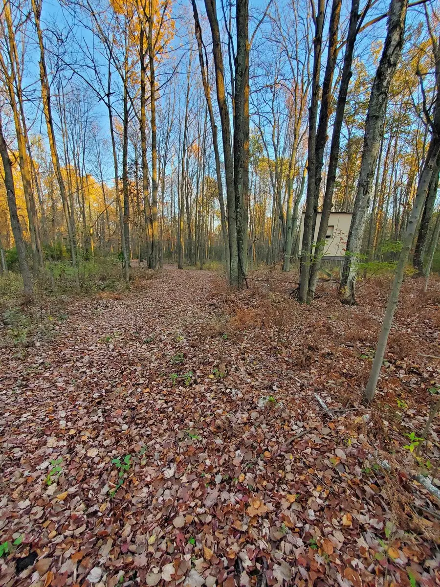 S Magruder Road, Saint Louis, MI 48880 - #2