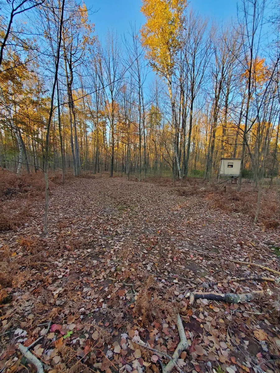 S Magruder Road, Saint Louis, MI 48880 - #3