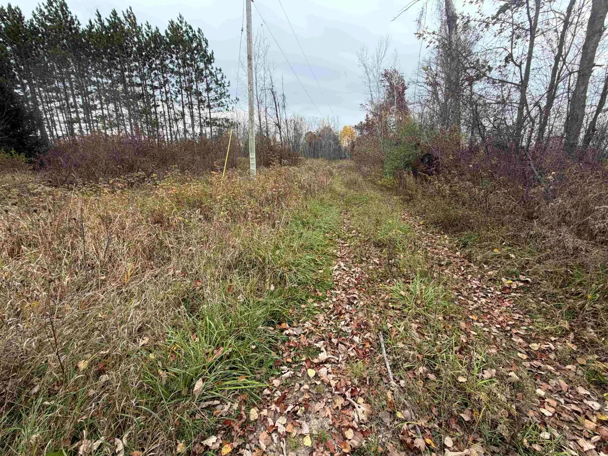 2979 W Huckleberry Road, Sanford, MI 48657-9632 - #1