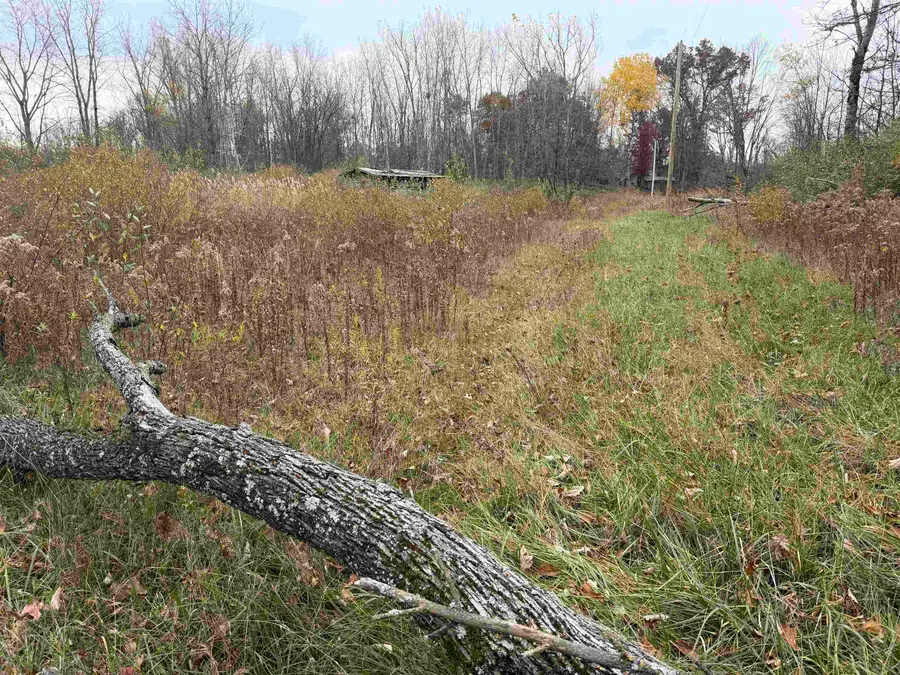 2979 W Huckleberry Road, Sanford, MI 48657-9632 - #2