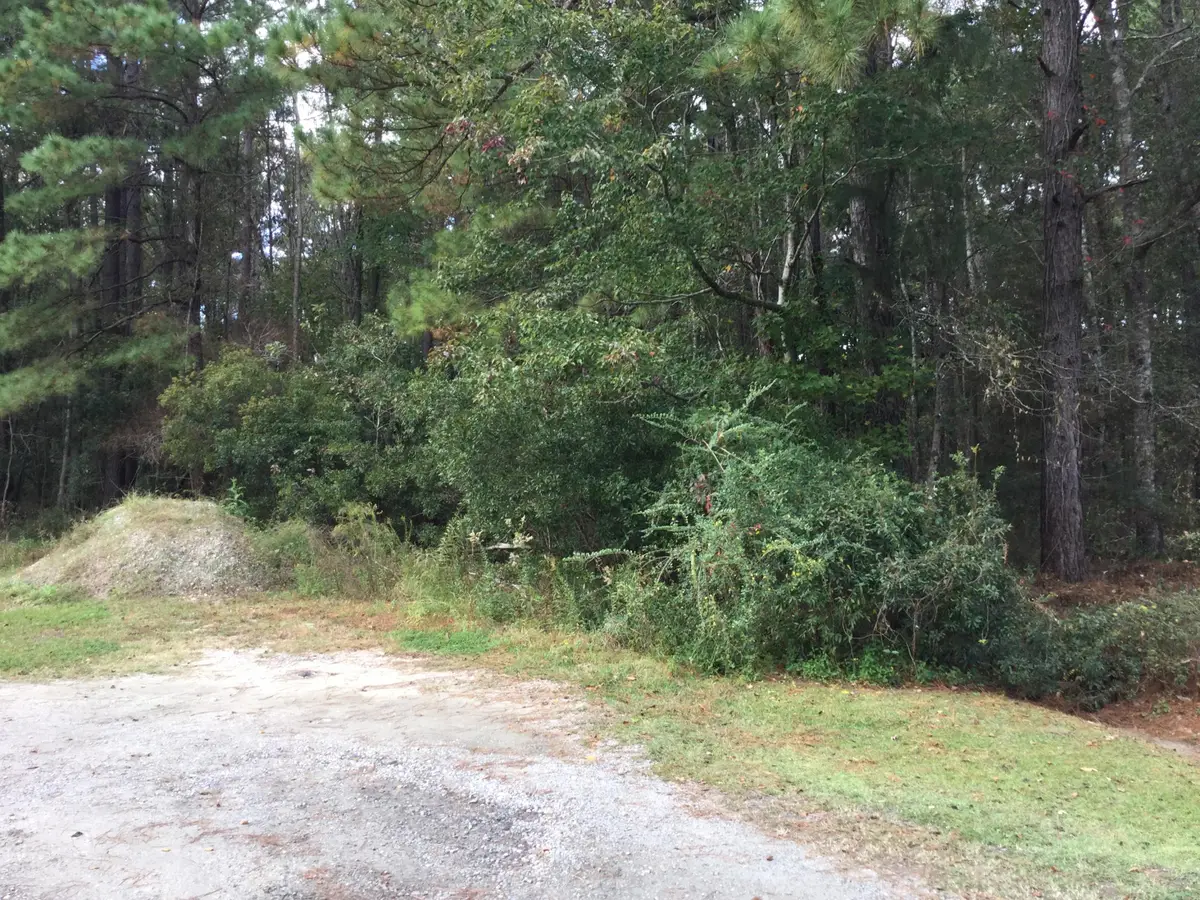 00 Haynesville Rd. Ext., Moncks Corner, SC 29461 - Image #1