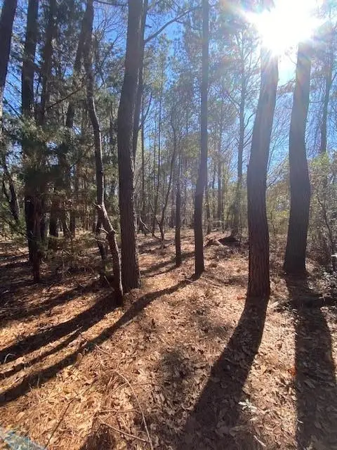 0 River Road, Johns Island, SC 29455 - #3