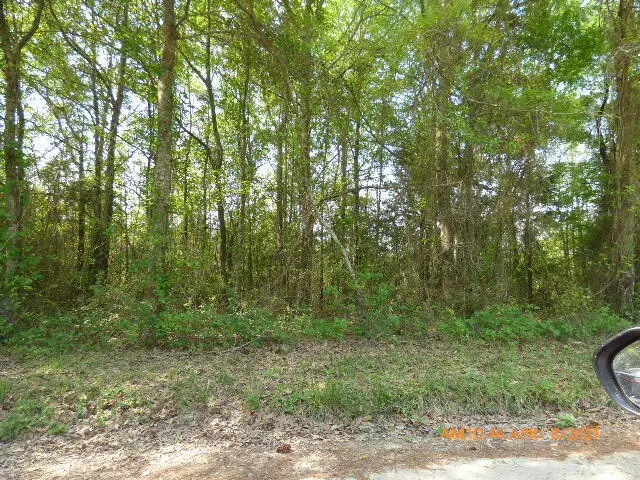 0 Irving Road, Monetta, SC 29105 - #1