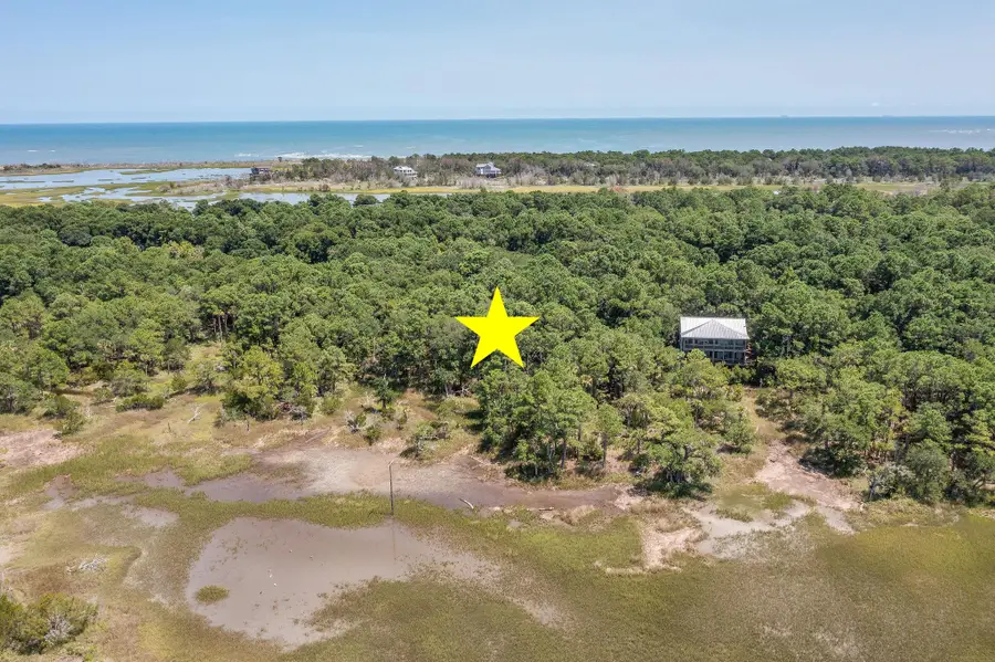 318 Old House Lane #Lot 109, Dewees Island, SC 29451 - Image #3
