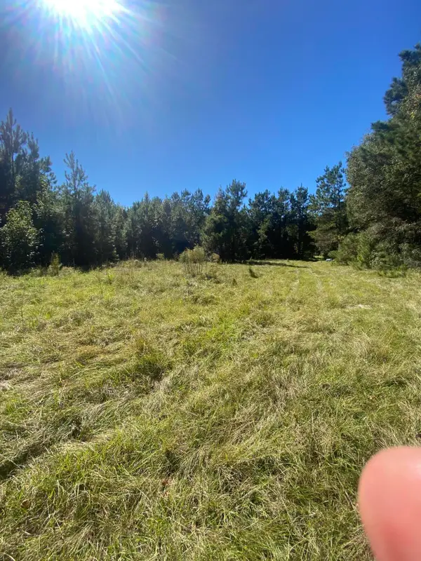 259 Interstate View Drive, Ridgeville, SC 29472