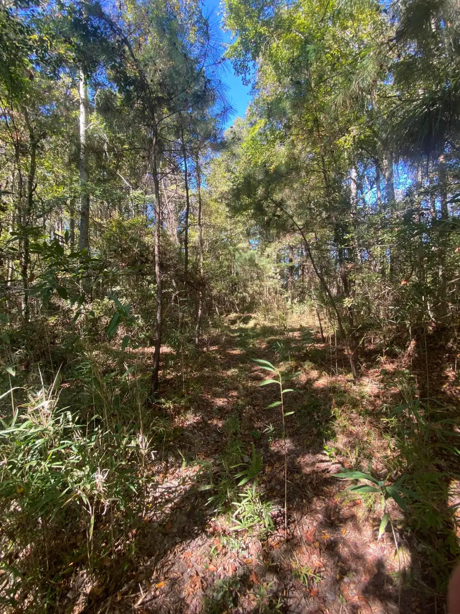 259 Interstate View Drive, Ridgeville, SC 29472 - Image #2