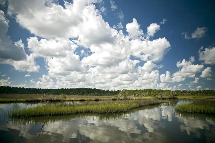 3989 Bulow Landing Road, Ravenel, SC 29470 - #1