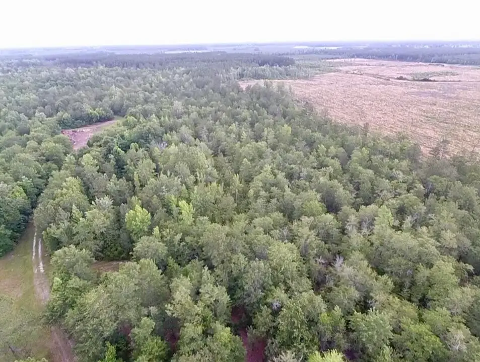 1800 Sc-311, Cross, SC 29436 - Image #1