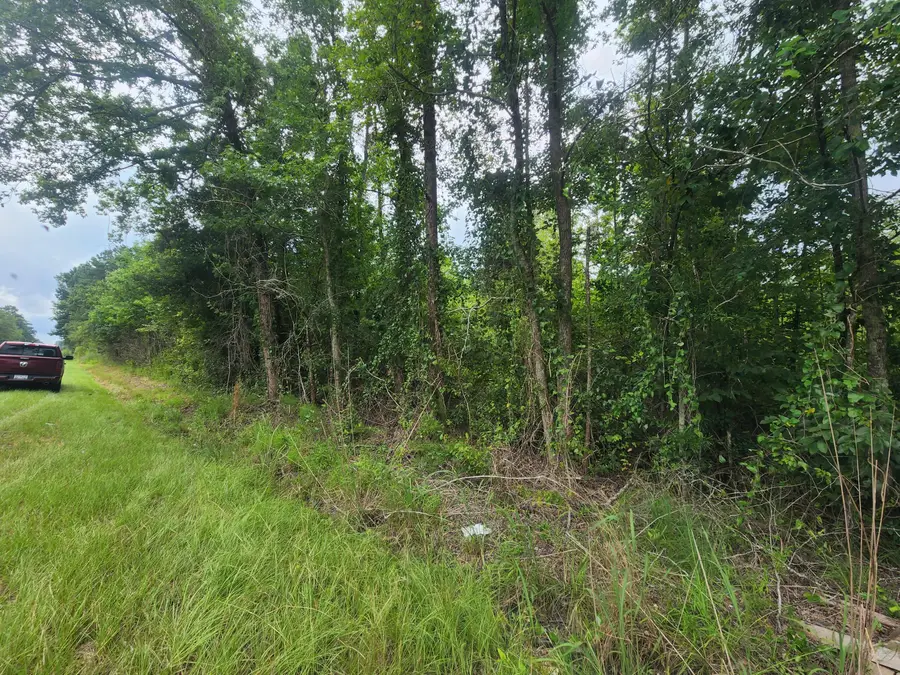 1 Freedom Road, Branchville, SC 29432 - Image #2