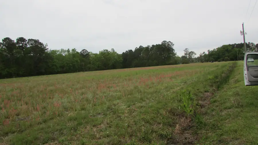 0 Benjamin Road, Johns Island, SC 29455 - #2