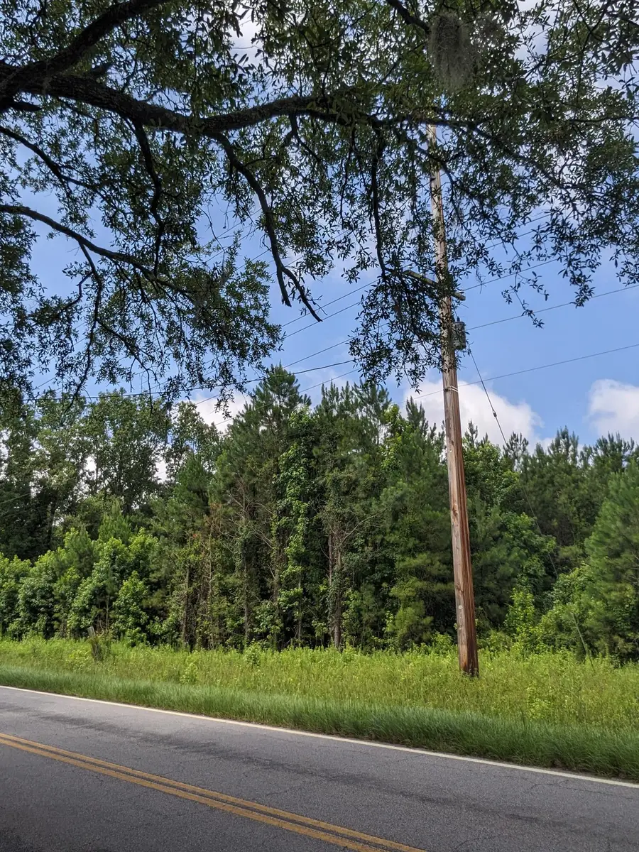 0 Highway 174, Adams Run, SC 29426 - Image #3