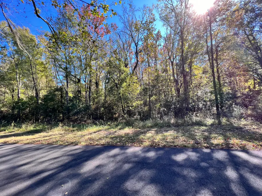 00 Shoofly Road Road, Ridgeville, SC 29472 - Image #2