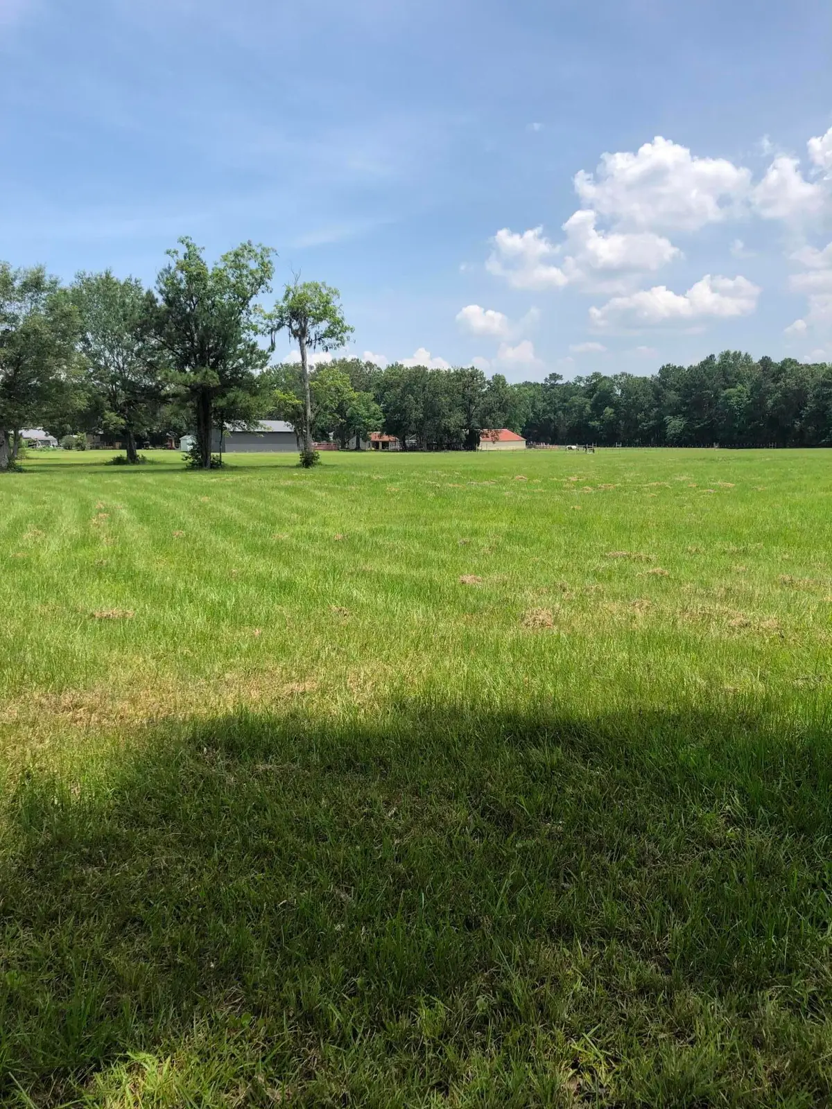159 Nello Drive, Goose Creek, SC 29445 - #1