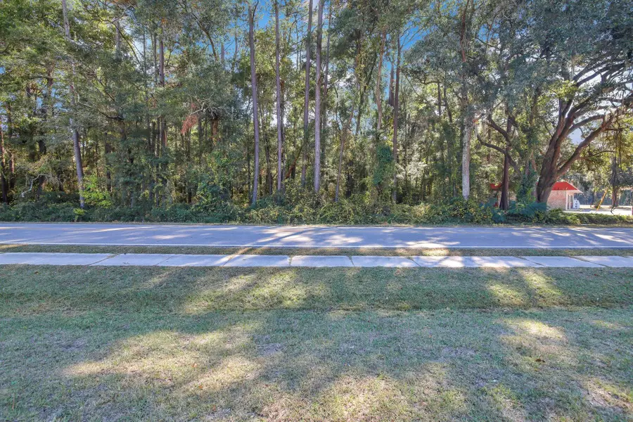 8 Bruce K Smalls Drive, Beaufort, SC 29906 - #3