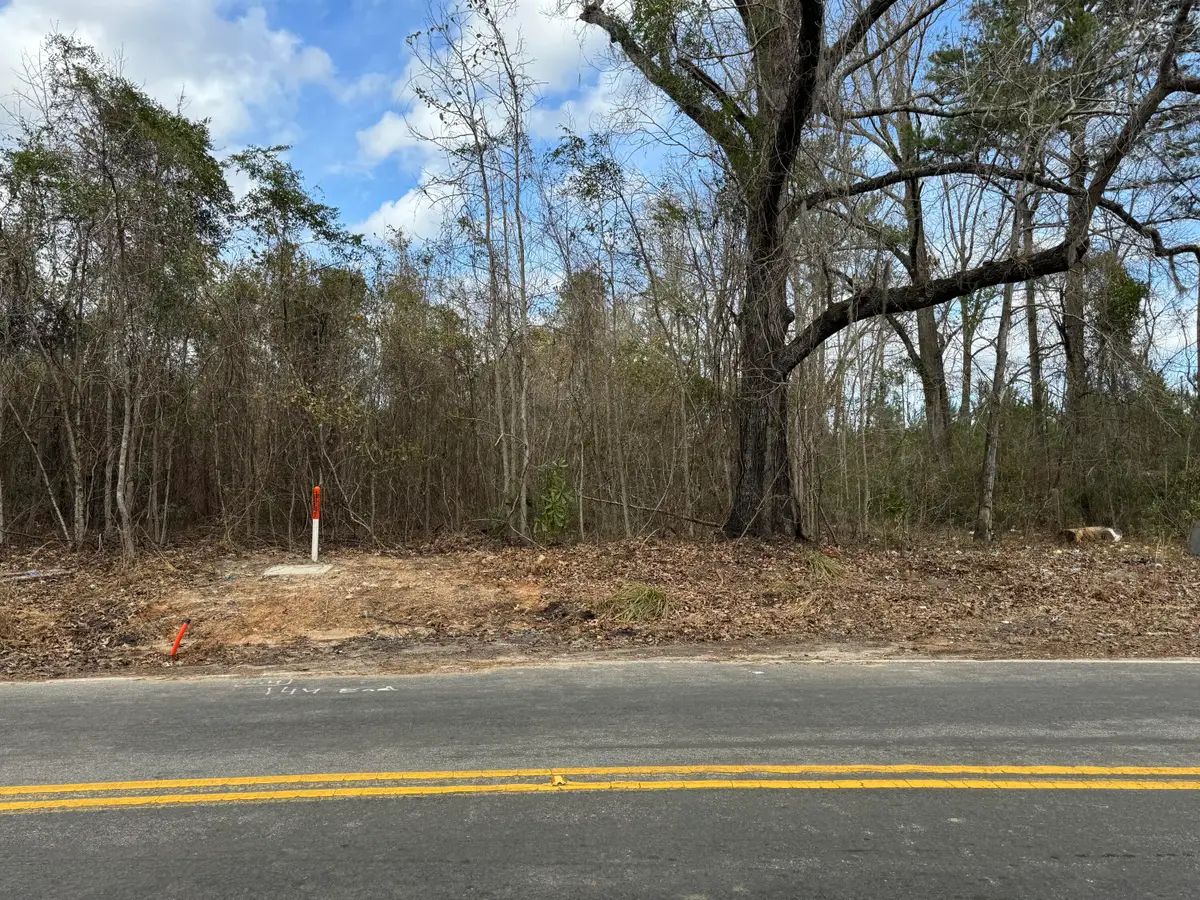 5510 Mauss Hill Road, Adams Run, SC 29426 - Image #1